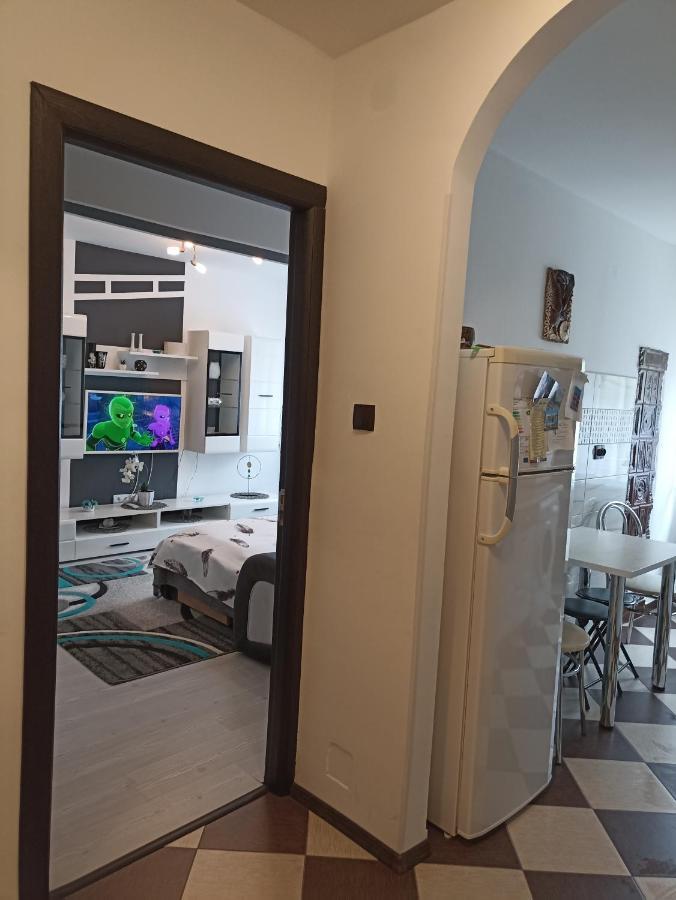 Apartament Sofy2 Baile Herculane Ngoại thất bức ảnh