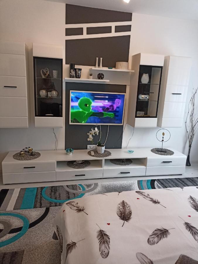 Apartament Sofy2 Baile Herculane Ngoại thất bức ảnh