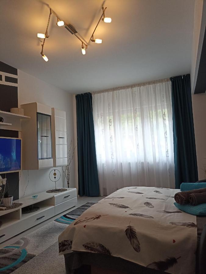 Apartament Sofy2 Baile Herculane Ngoại thất bức ảnh