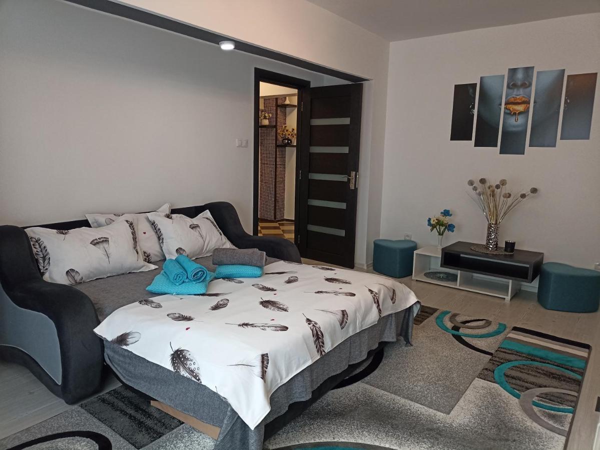 Apartament Sofy2 Baile Herculane Ngoại thất bức ảnh