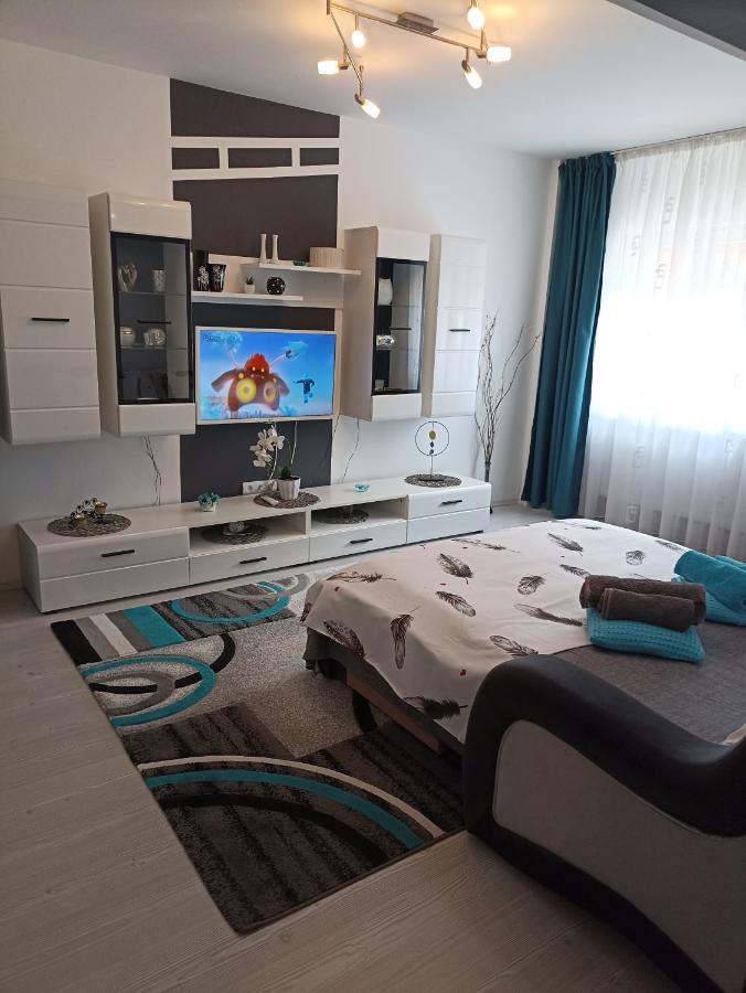 Apartament Sofy2 Baile Herculane Ngoại thất bức ảnh